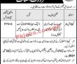 Jobs in Fazaia Inter College Rawalpindi