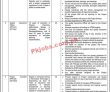 Jobs In Federal Directorate Of Education Fde