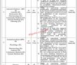 Jobs in Federal Medical College Islamabad