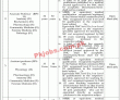 Jobs in Federal Medical College