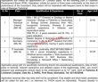 Jobs In Fisheries Development Board Fbd Islamabad