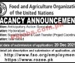 Jobs in Food and Agriculture Organization of the United Nations