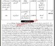 Jobs In Forest Sector