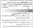 Jobs in Forestry Department