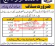 Jobs In Forward Girls College