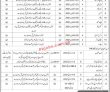 Jobs in Frontier Core KPK
