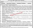 Jobs In Gik Institute Of Engineering Sciences And Technology