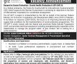 Jobs In Giz Islamabad