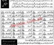 Jobs In Gs Engineering & Construction Co Ltd