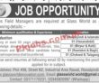 Jobs In Glass World