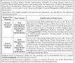Jobs In Governance & Policy Project Khyber Pakhtunkhwa