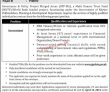 Jobs in Governance & Policy Project