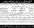 Jobs In Government Associate College For Women