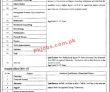 Jobs In Government College University Faisalabad