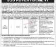 Jobs In Government College University Gcu Hyderabad