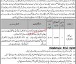 Jobs In Government College University Hyderabad