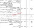 Jobs In Government College University Hyderabad