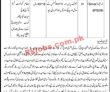 Jobs In Government Degree College Peshawar