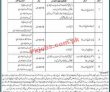 Jobs In Government Education Sector