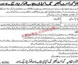 Jobs In Government Engineering Academy