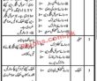 Jobs In Government Jobs Hafizabad