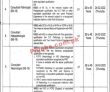 Jobs In Government Kot Khawaja Saeed Teaching Hospital Lahore