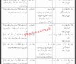Jobs in Government Organization