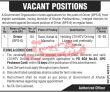 Jobs In Government Organization