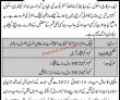 Jobs In Government School