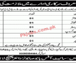 Jobs In Government Sector Lahore