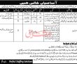 Jobs In Government Sector People