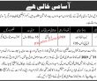 Jobs in Government Sector Quetta
