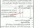 Jobs In Government Sector