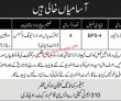 Jobs in Government Sector