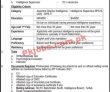 Jobs in Government Sector