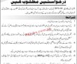 Jobs in Government of Azad Jammu & Kashmir