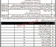 Jobs in Government of Balochistan Health Department
