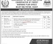 Jobs In Government Of Gilgit Baltistan Conservator Of Forest Working