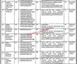 Jobs In Government Of Gilgit Baltistan Directorate Of Health Services