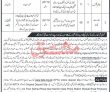 Jobs In Government Of Kpk Forest Division
