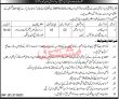 Jobs In Government Of Kpk