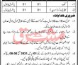 Jobs in Government of KPK