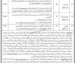 Jobs in Government of KPK
