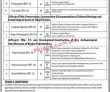 Jobs In Government Of Khyber Pakhtunkhwa Directorate Of Archaeology &