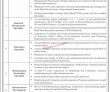 Jobs In Government Of Khyber Pakhtunkhwa Elementary & Secondary Education