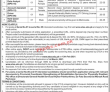 Jobs in Government of Khyber Pakhtunkhwa Health Department