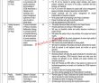 Jobs In Government Of Pakistan Federal Directorate Of Education
