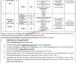 Jobs In Government Of Pakistan Federal Directorate Of Education