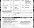 Jobs In Government Of Pakistan Ministry Of Climate Change
