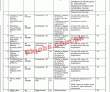 Jobs in Government of Pakistan Ministry of Climate Change